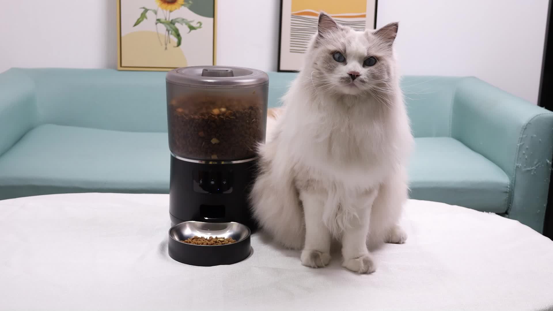 NPET Automatic Pet Feeder 1.06gal Large Capacity Timed Distribute Food Cat