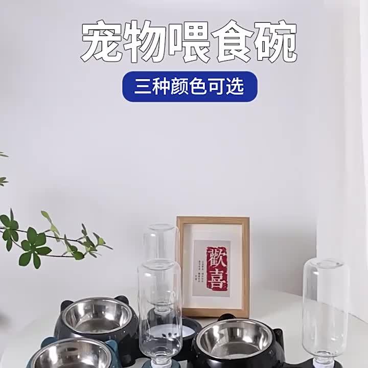 Customized Personalized Pet Bowl • Slanted Design • 1pc • Automatic Water Refill • Lightweight