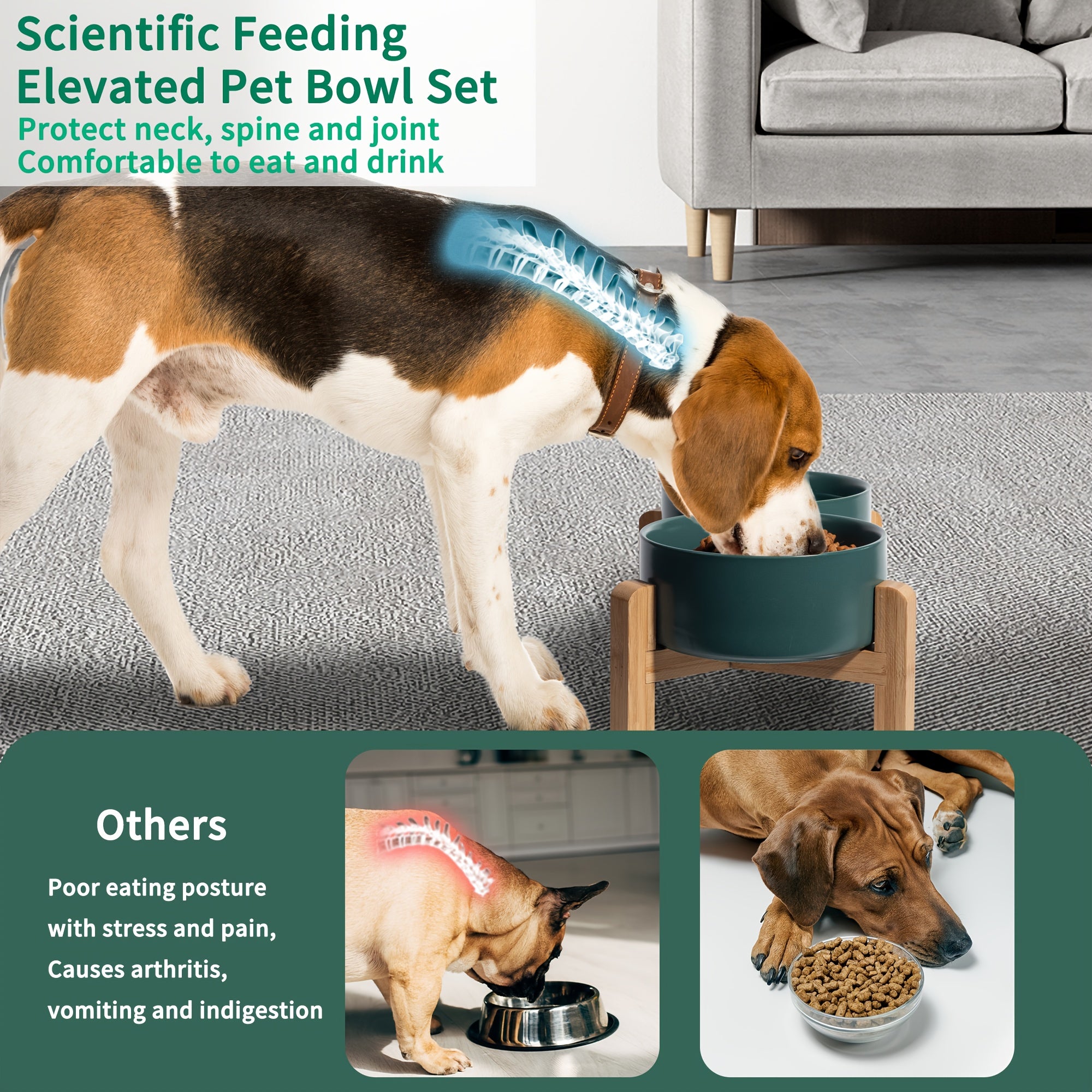 Elevated Ceramic Dog Bowl Set - Raised Feeding Bowls with Non-Slip Bamboo Stand - Double Dog Feeding Bowls