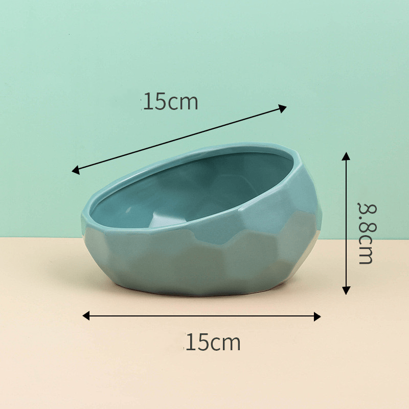Pet Bowl for Cats and Dogs | Tilted Design Feeder for Comfortable Feeding Experience