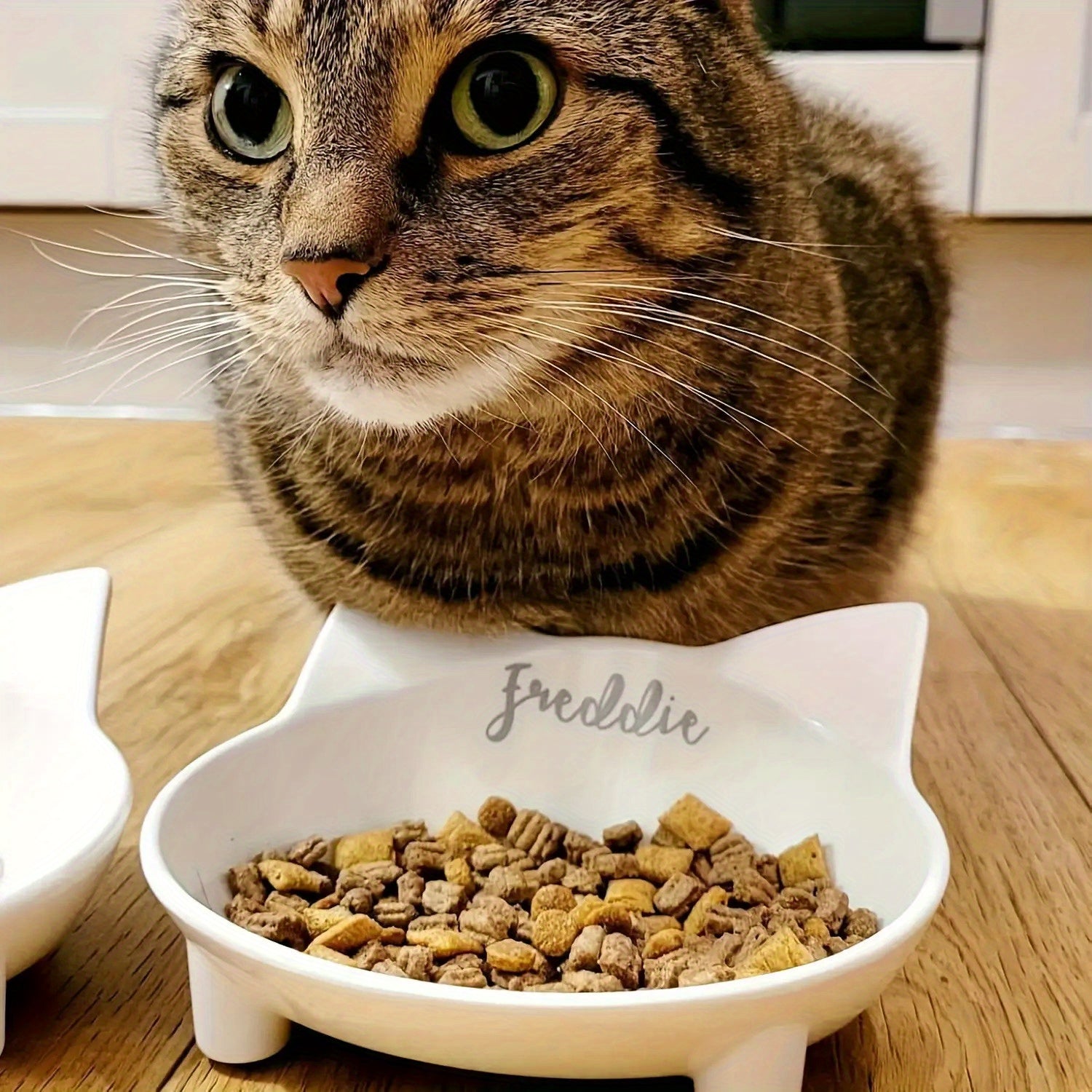 1- Personalized cat bowl, non-slip cat bowl, cute cat-shaped feeding bowl