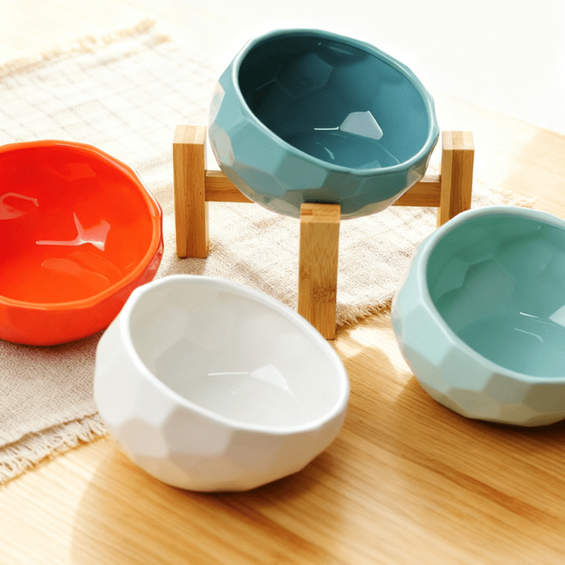 Pet Bowl for Cats and Dogs | Tilted Design Feeder for Comfortable Feeding Experience