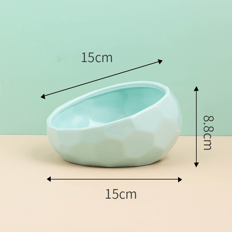 Pet Bowl for Cats and Dogs | Tilted Design Feeder for Comfortable Feeding Experience