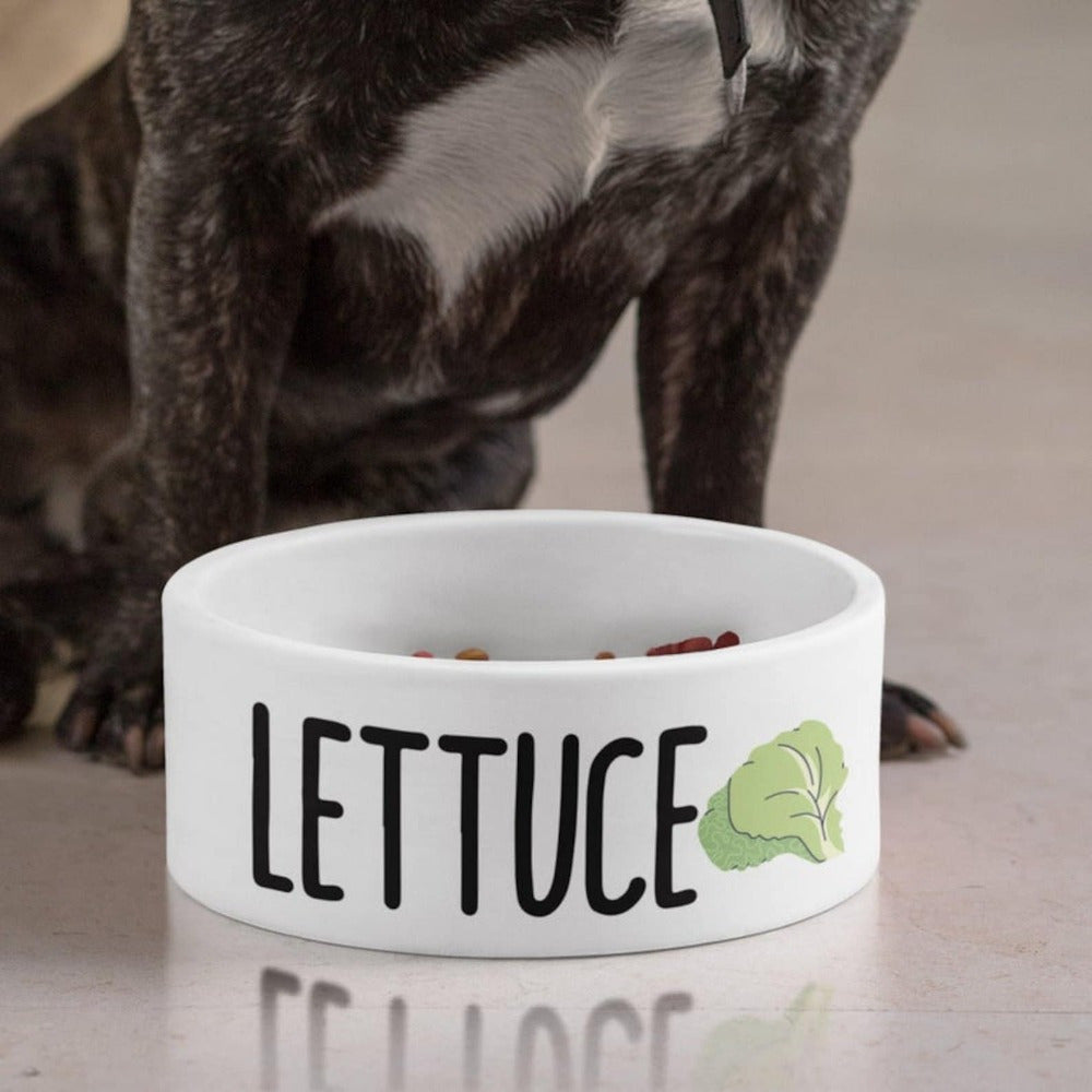 Custom Ceramic Dog Bowl, Personalized Dog Food Bowl with Name, Dog Food \u002F Water Bowls
