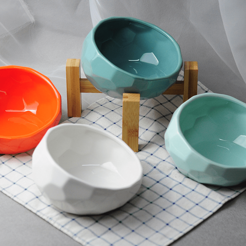 Pet Bowl for Cats and Dogs | Tilted Design Feeder for Comfortable Feeding Experience