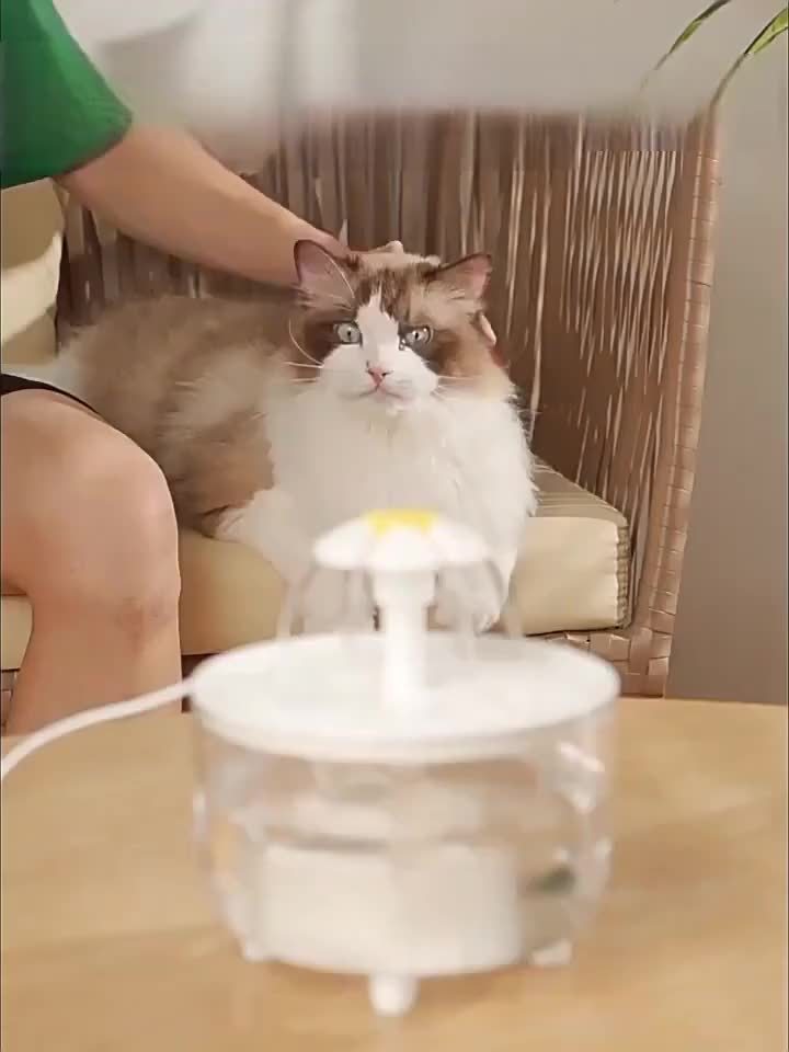 1pc\u002F3pcs Ultra Quiet Cat Water Fountain | 50.72oz Transparent Pet Drinking Fountain with One Pump